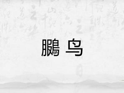 鵩鸟