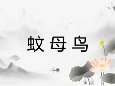 蚊母鸟