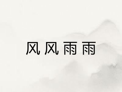 风风雨雨