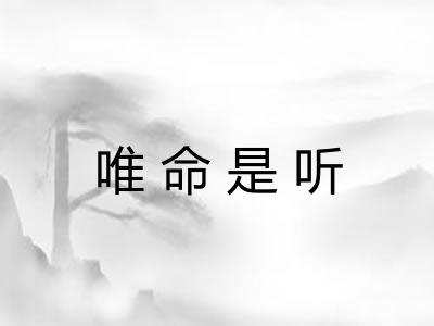 唯命是听
