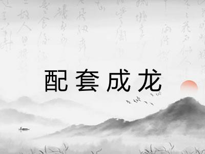 配套成龙